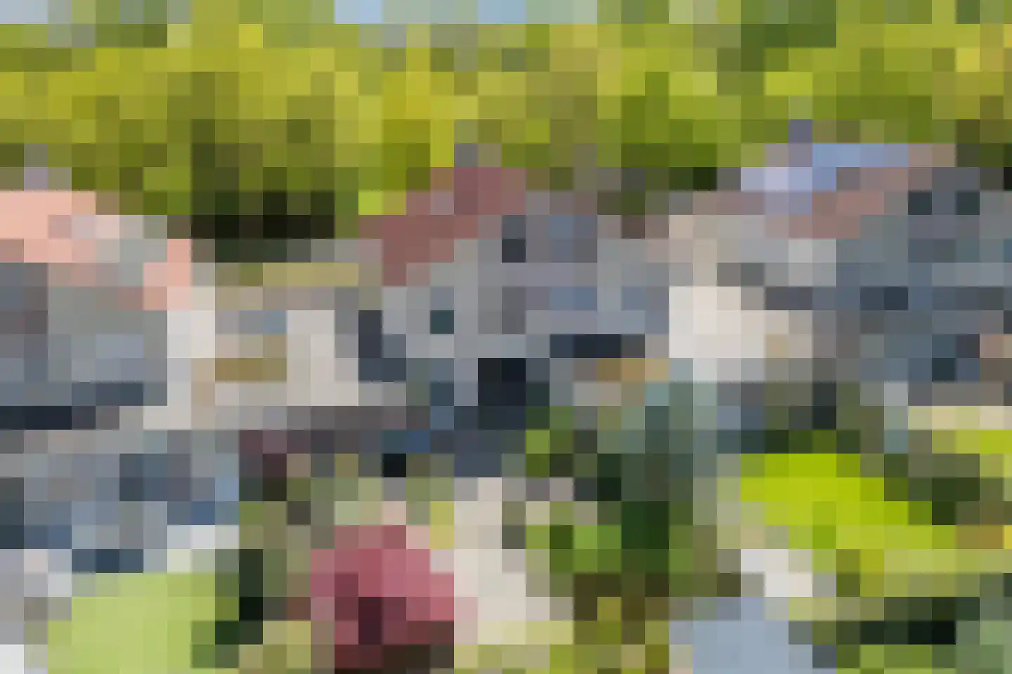Gersthullen 29 Assen thumbnail 44