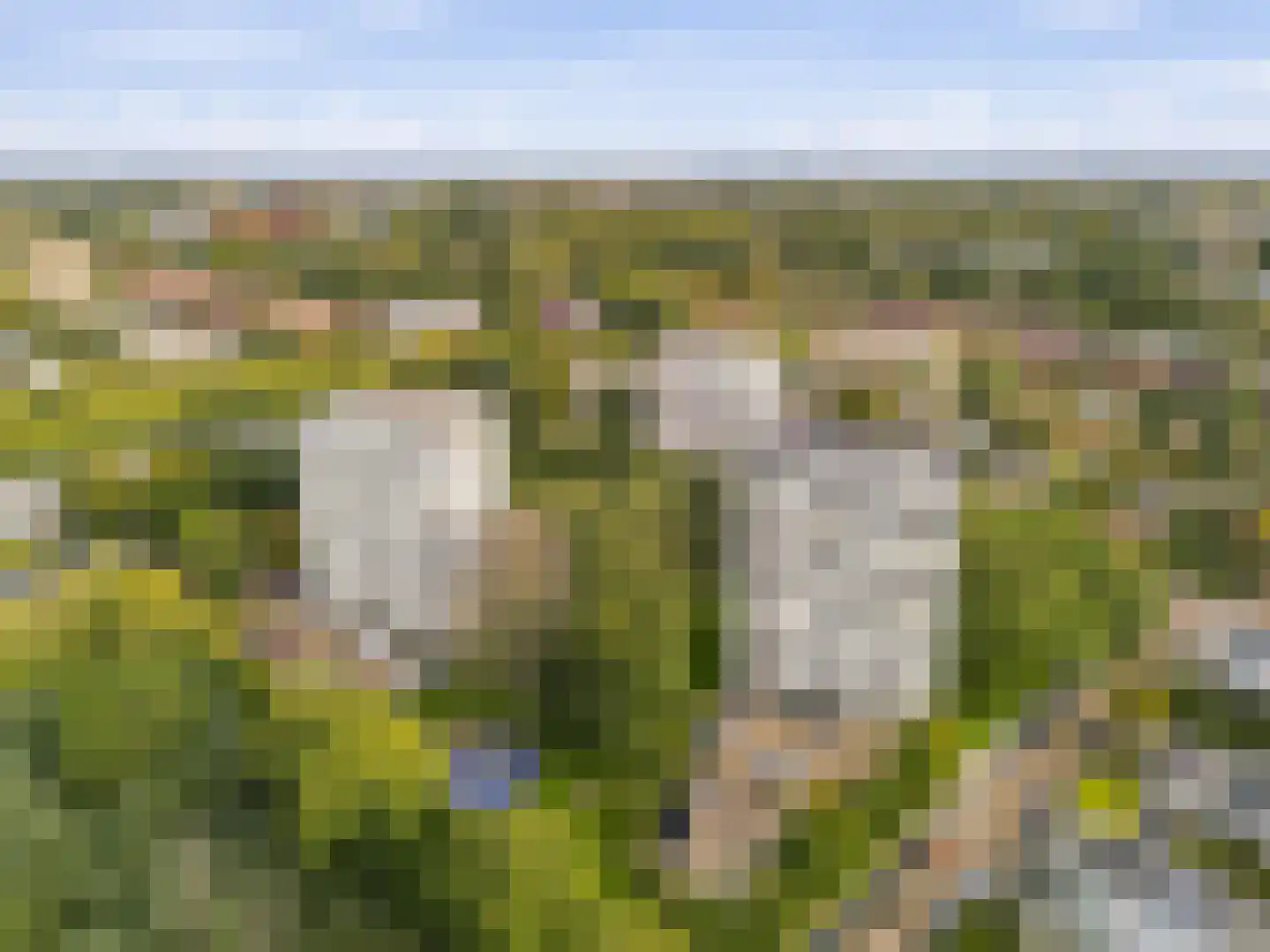 Gerstkamp 110 Den Haag thumbnail 7
