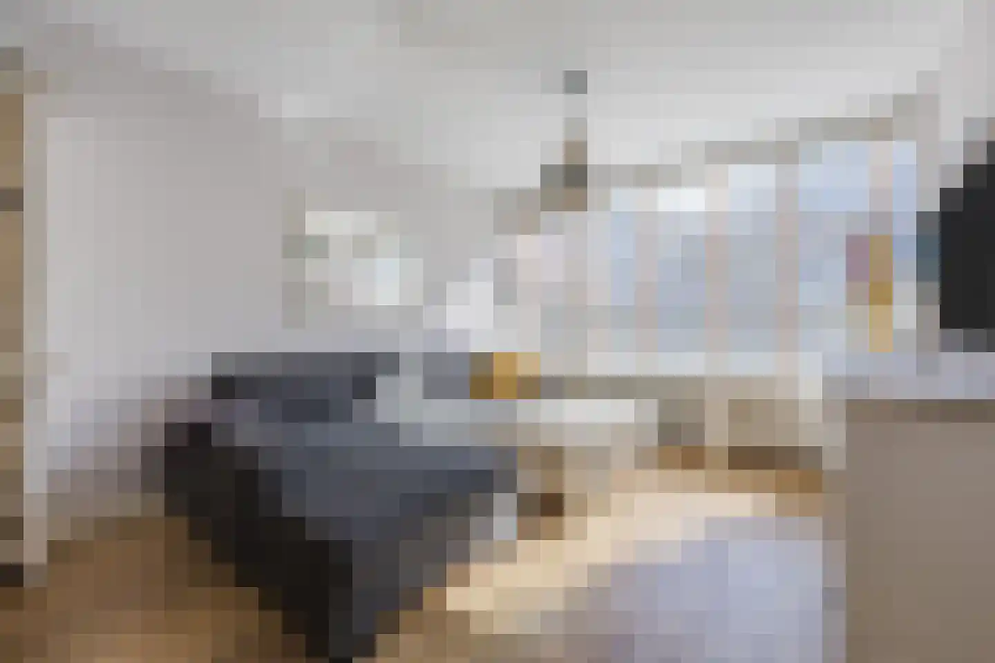 Gerstkamp 117 Den Haag thumbnail 5