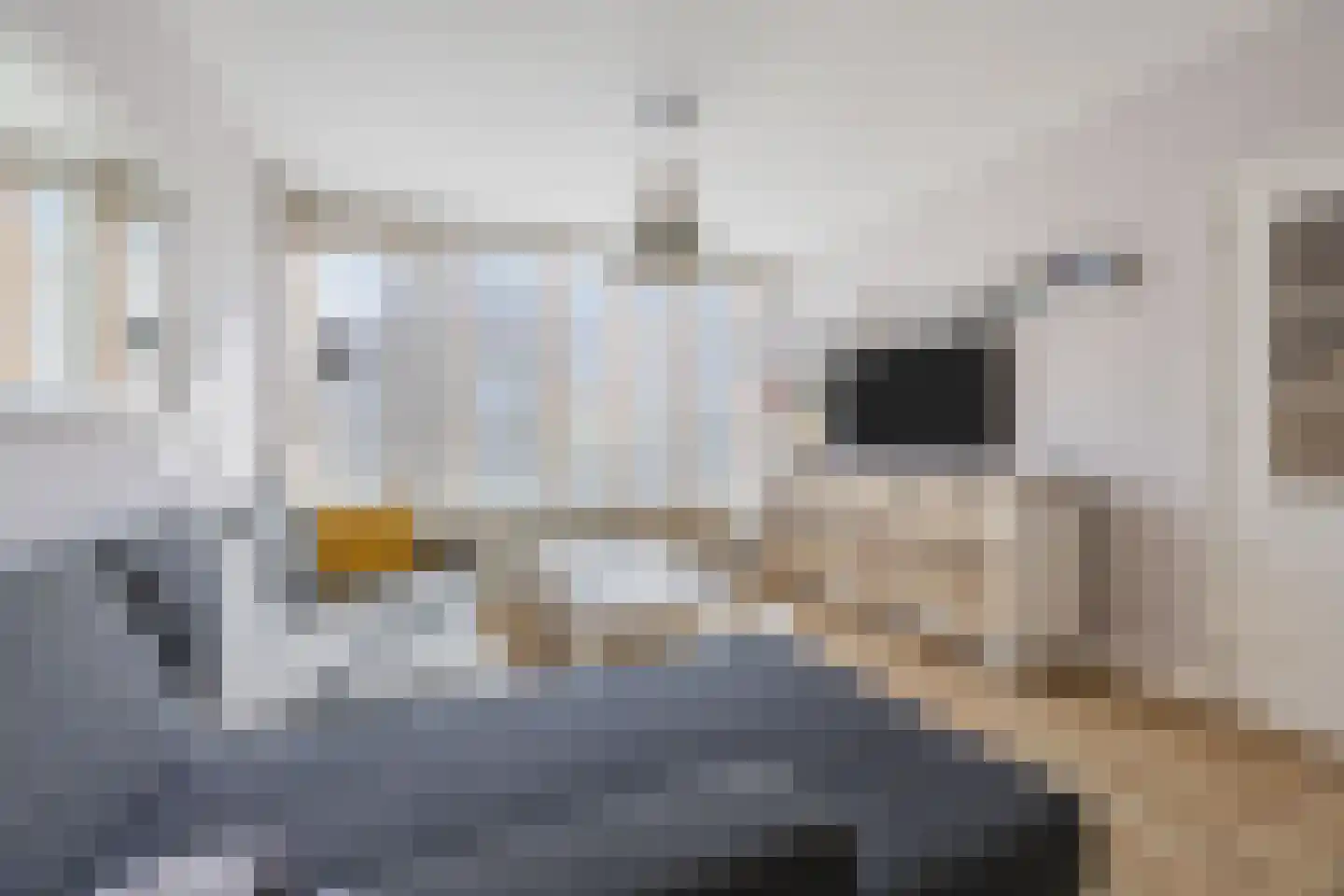 Gerstkamp 117 Den Haag thumbnail 6