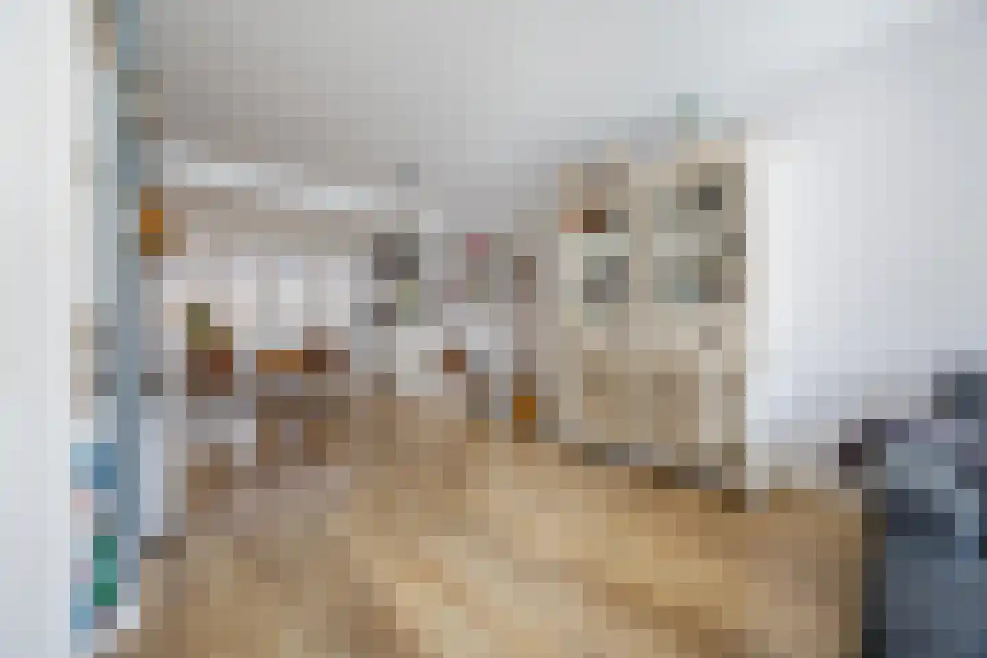 Gerstkamp 117 Den Haag thumbnail 7