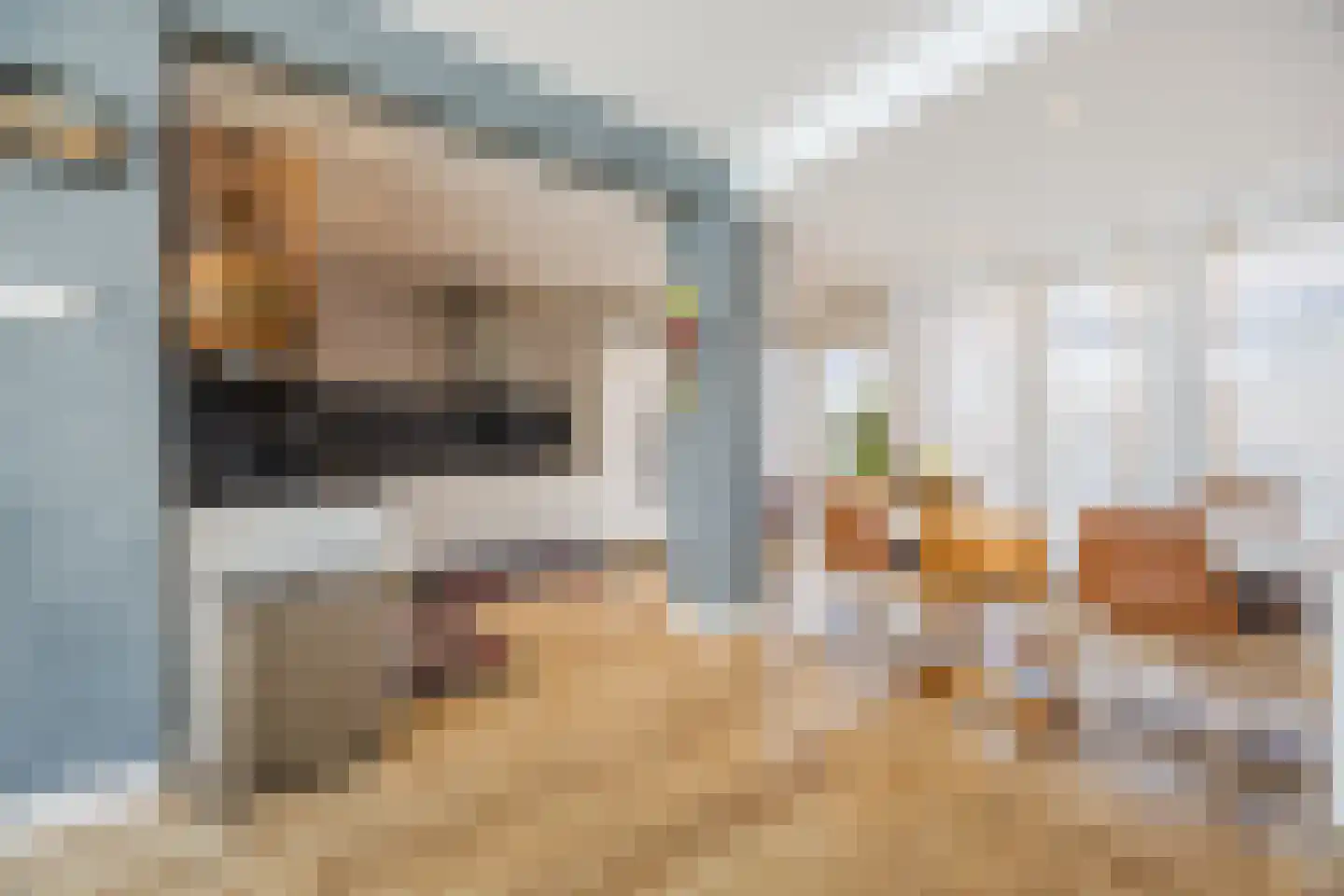 Gerstkamp 117 Den Haag thumbnail 9