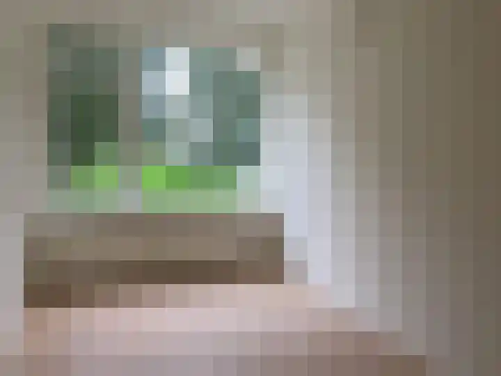 Gerstkamp 178 Den Haag thumbnail 33
