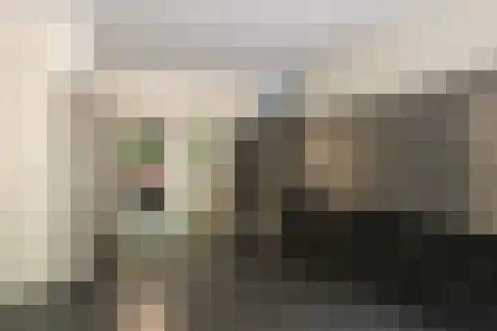 Gerstkamp 178 Den Haag thumbnail 9