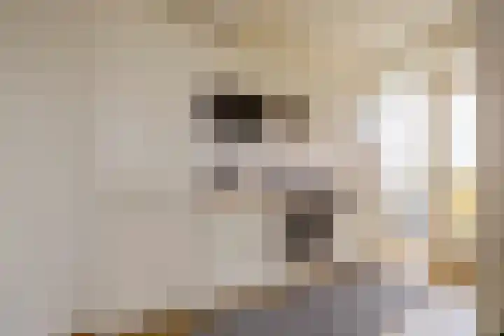 Gerstkamp 228 Den Haag thumbnail 23