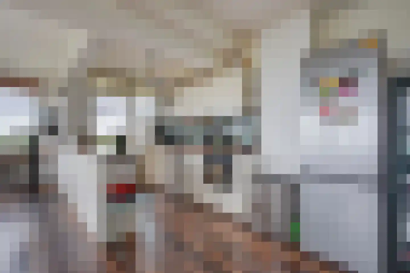 Gerstkamp 258 Den Haag thumbnail 17