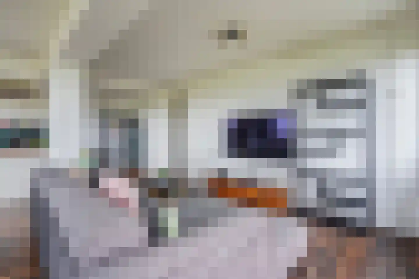 Gerstkamp 258 Den Haag thumbnail 23