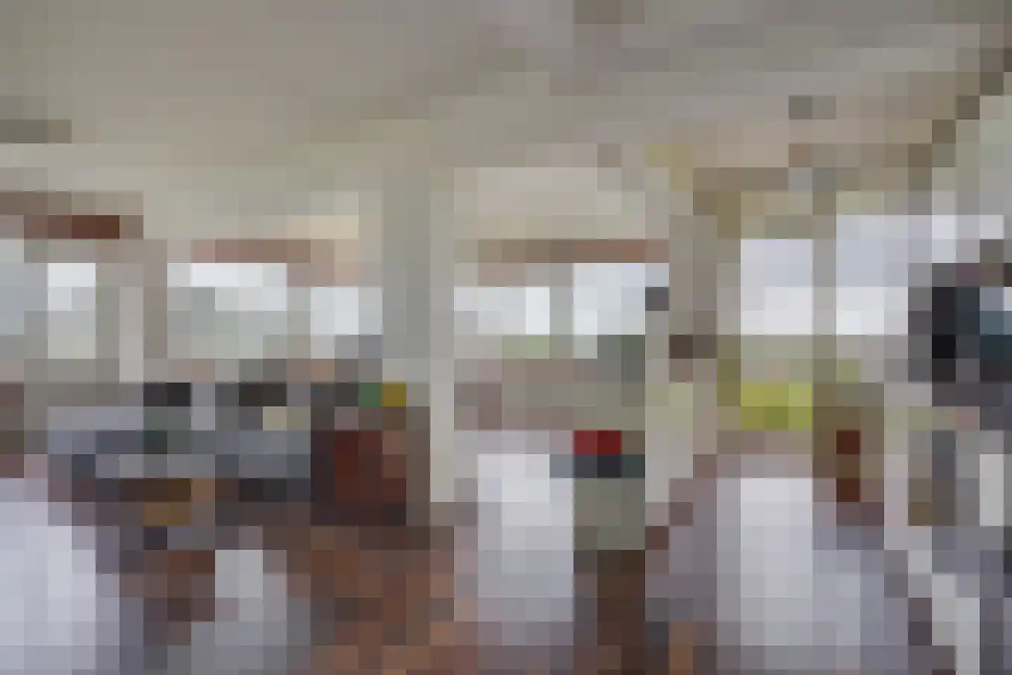 Gerstkamp 258 Den Haag thumbnail 4
