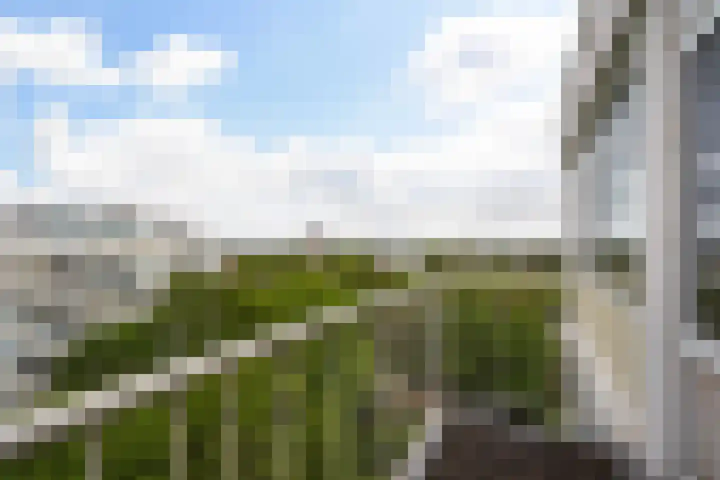 Gerstkamp 258 Den Haag thumbnail 9