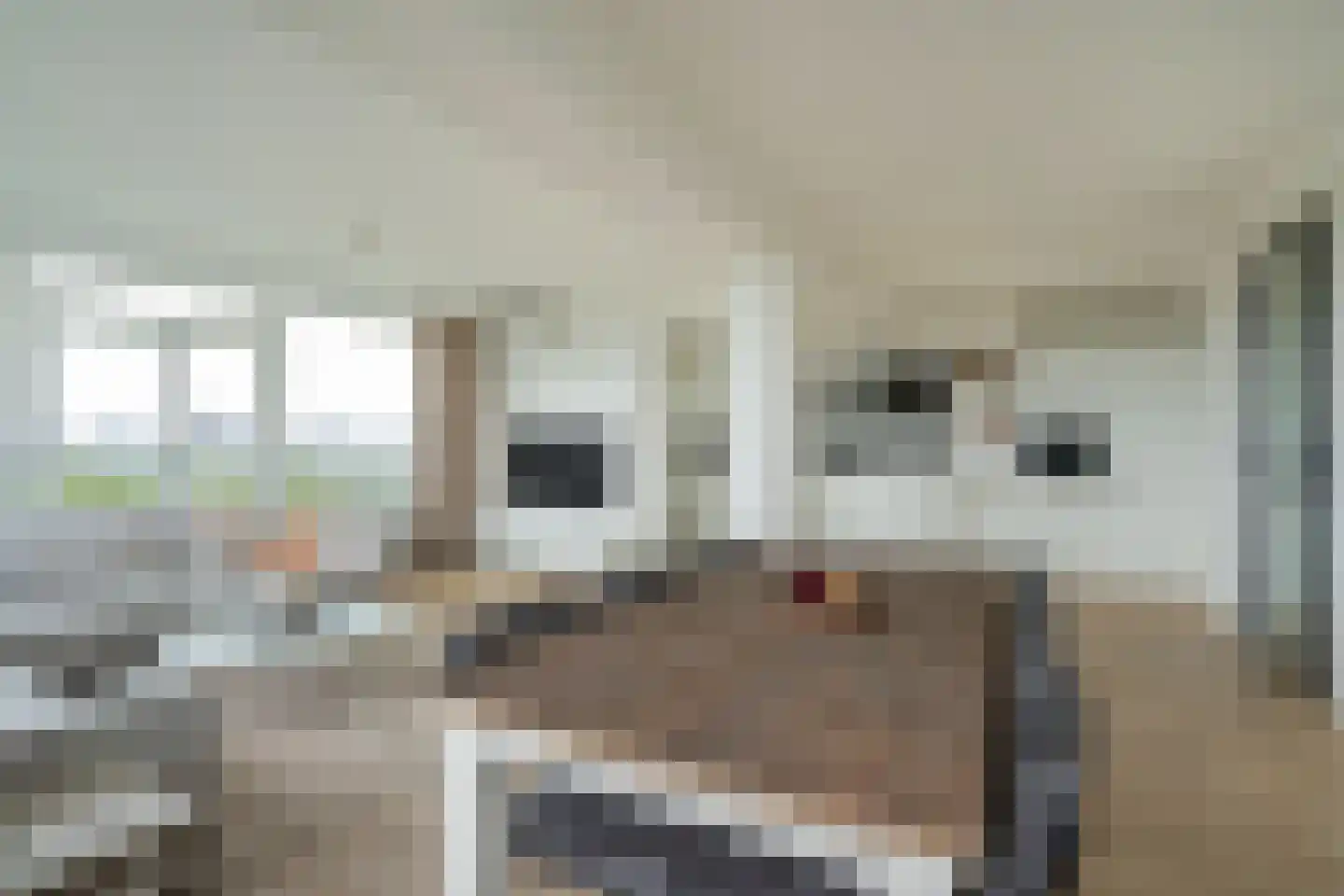 Gerstkamp 262 Den Haag thumbnail 11