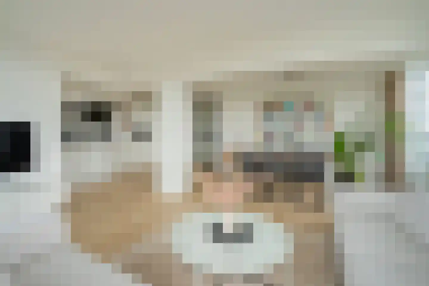 Gerstkamp 262 Den Haag thumbnail 14