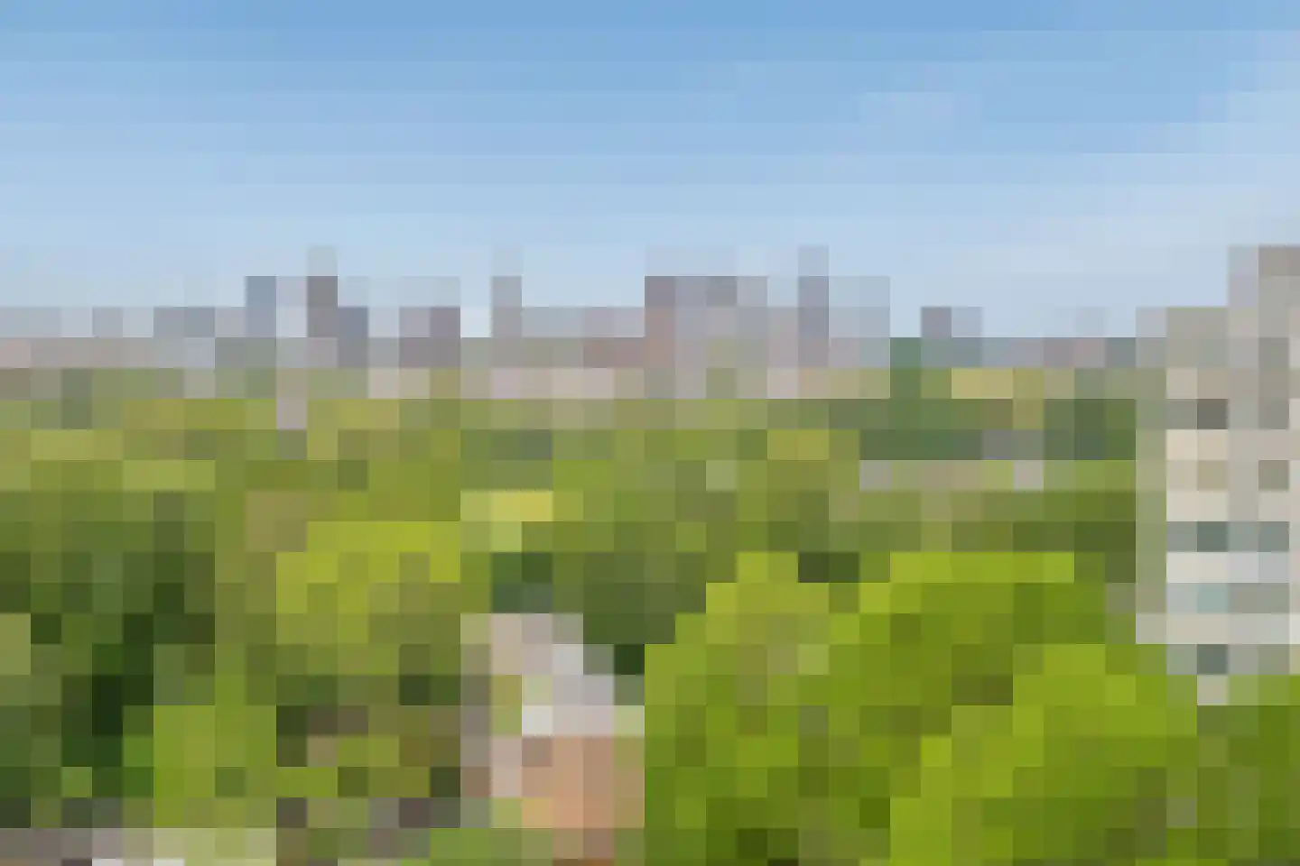 Gerstkamp 262 Den Haag thumbnail 18