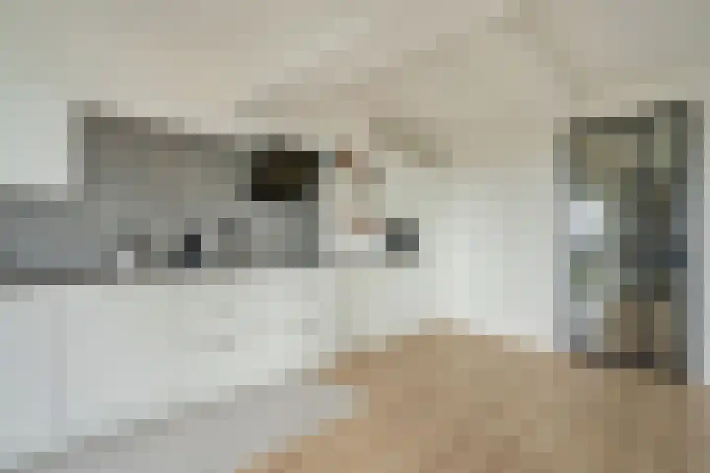 Gerstkamp 262 Den Haag thumbnail 19