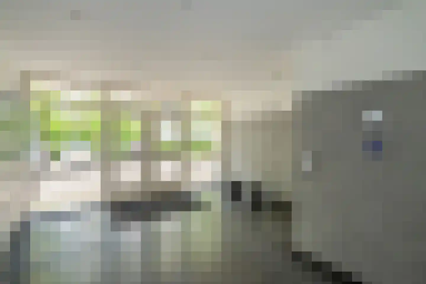 Gerstkamp 262 Den Haag thumbnail 6
