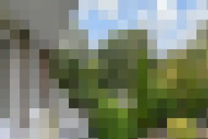 Gerstkamp 27 Den Haag thumbnail 15