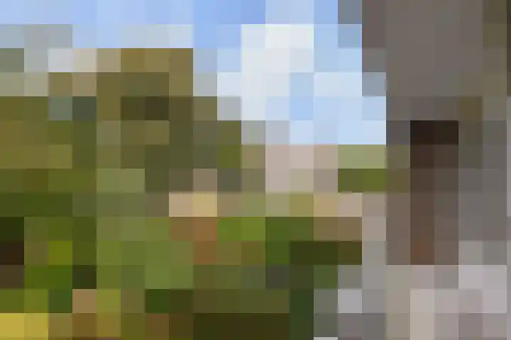 Gerstkamp 27 Den Haag thumbnail 16