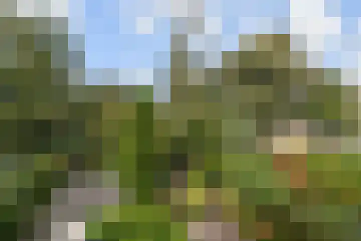 Gerstkamp 27 Den Haag thumbnail 17