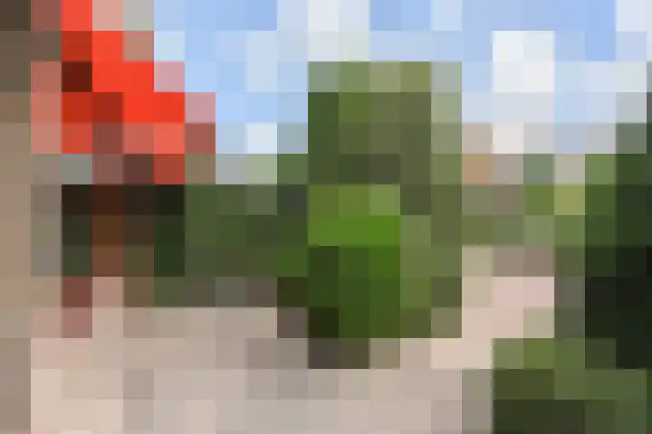 Gerstkamp 27 Den Haag thumbnail 30