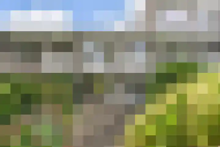Gerstkamp 27 Den Haag thumbnail 32