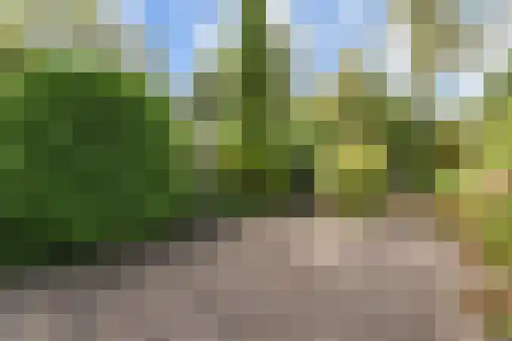 Gerstkamp 27 Den Haag thumbnail 38