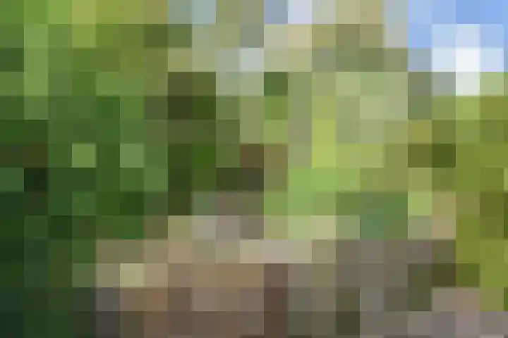 Gerstkamp 27 Den Haag thumbnail 39