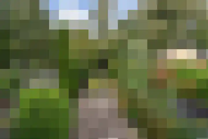 Gerstkamp 27 Den Haag thumbnail 40