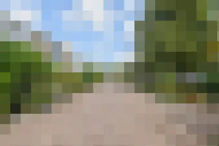 Gerstkamp 27 Den Haag thumbnail 42