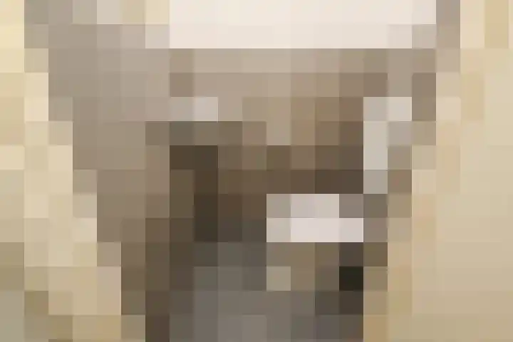 Gerstkamp 27 Den Haag thumbnail 7