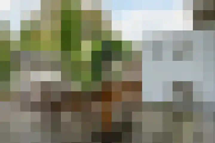 Gerstkamp 29 Den Haag thumbnail 15