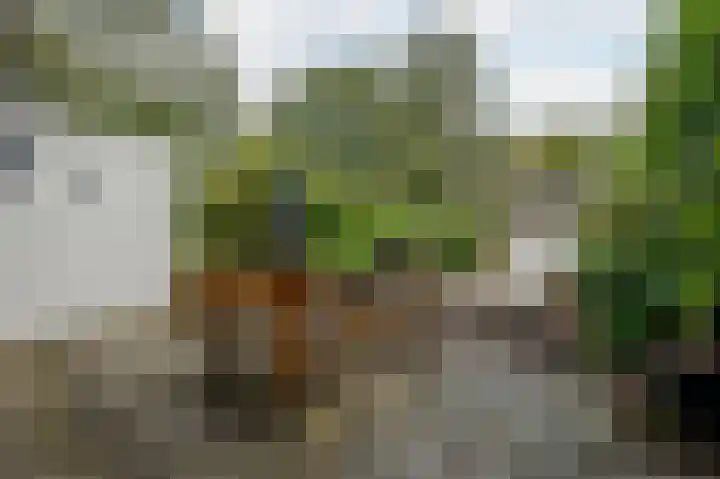 Gerstkamp 29 Den Haag thumbnail 16