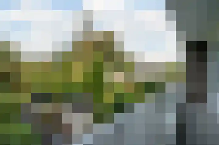 Gerstkamp 29 Den Haag thumbnail 28