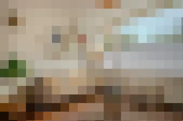 Gerstkamp 29 Den Haag thumbnail 5