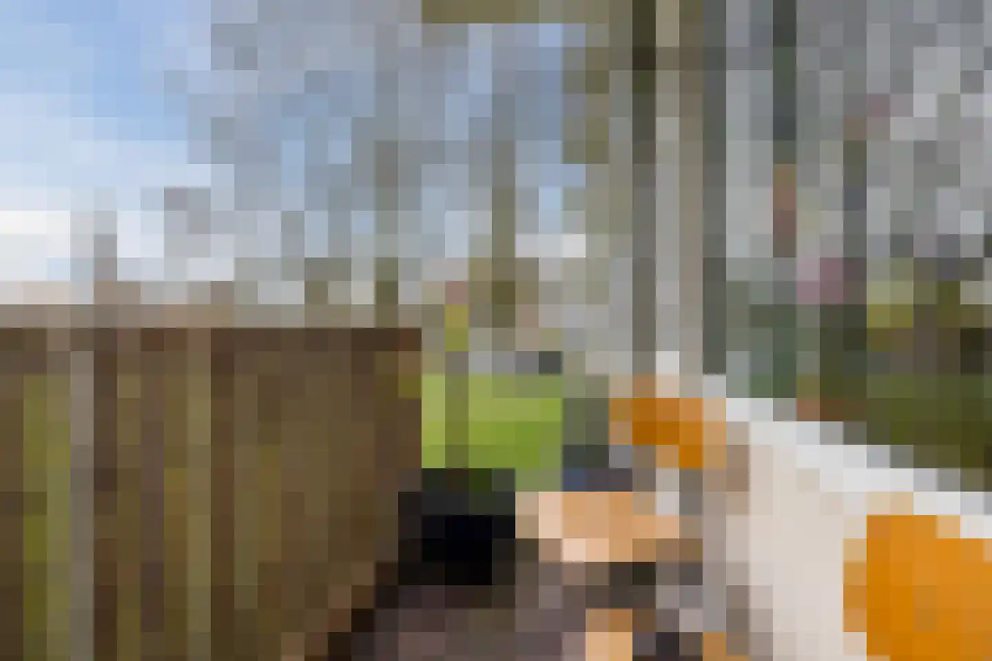 Gerstkamp 62 Den Haag thumbnail 17