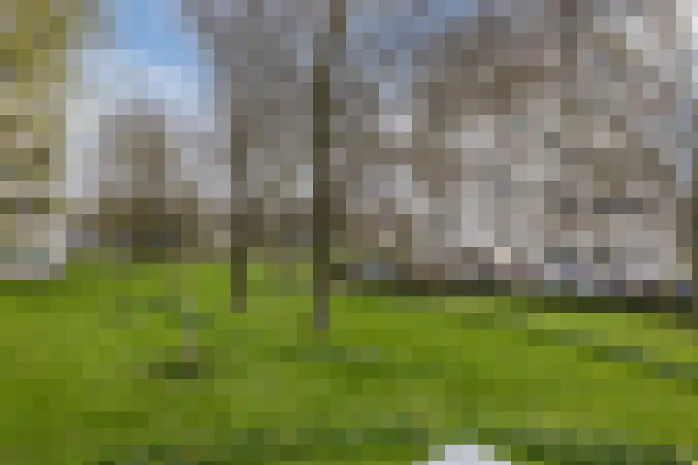 Gerstkamp 62 Den Haag thumbnail 18