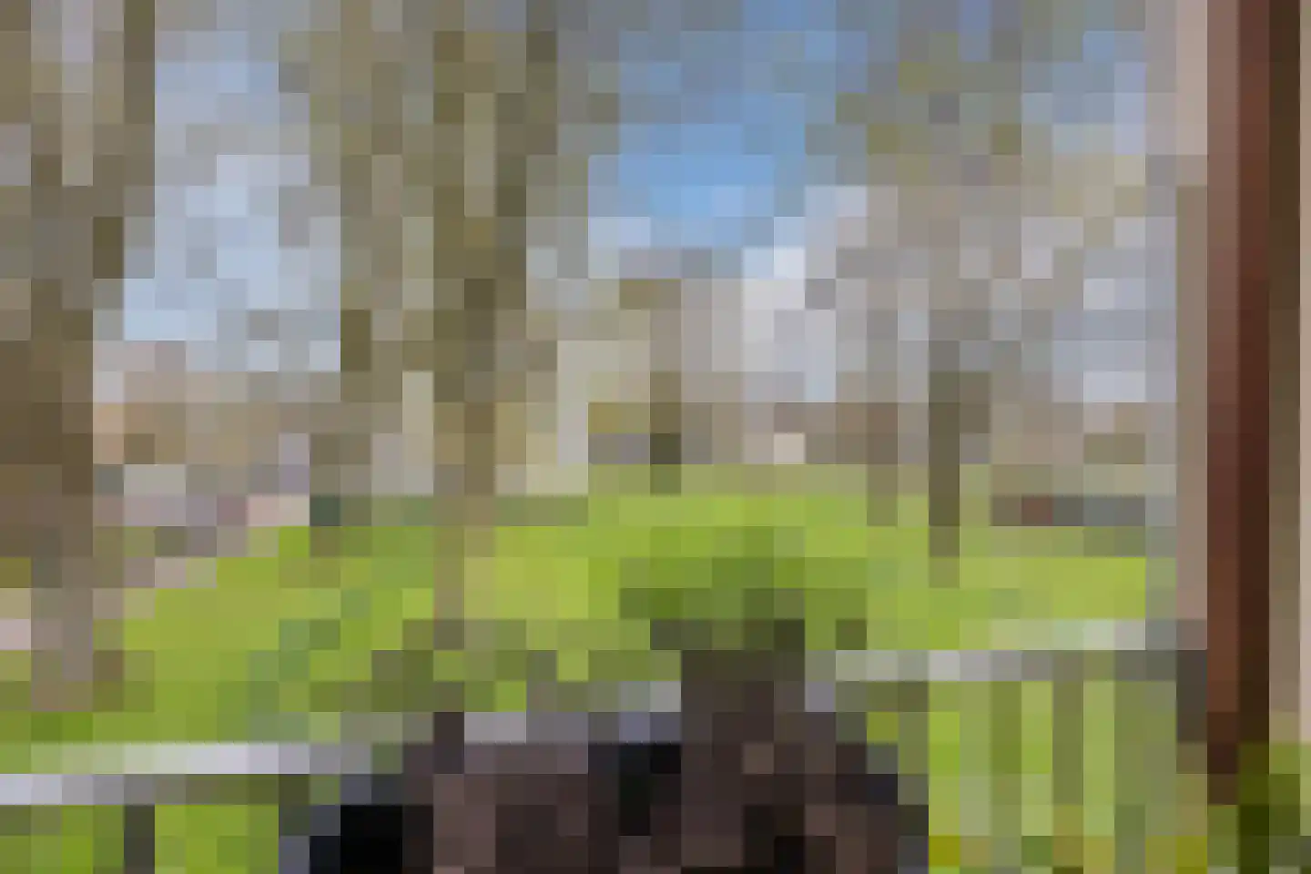 Gerstkamp 62 Den Haag thumbnail 4