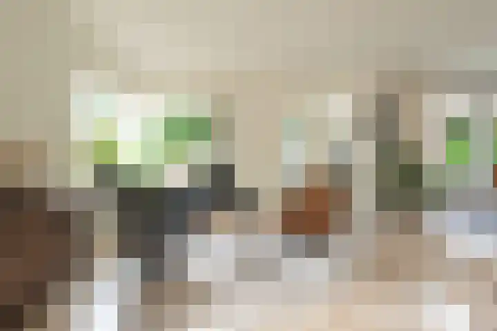 Gerstkamp 8 Hoevelaken thumbnail 18