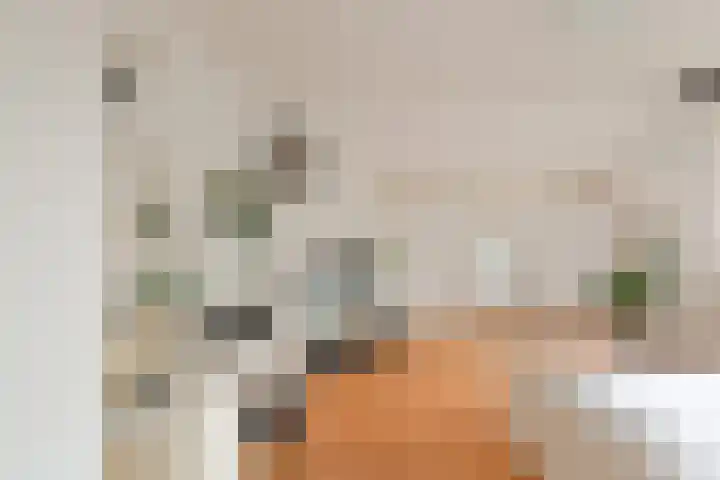 Gerstkamp 8 Hoevelaken thumbnail 34