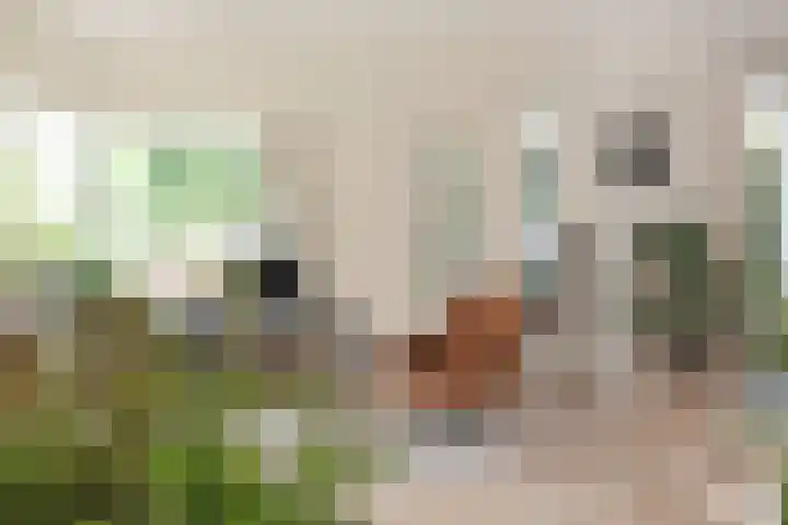 Gerstkamp 8 Hoevelaken thumbnail 4