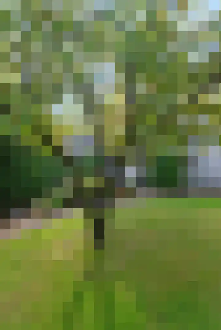 Gerstkamp 8 Hoevelaken thumbnail 46