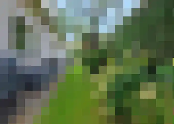 Gerstkamp 8 Hoevelaken thumbnail 47