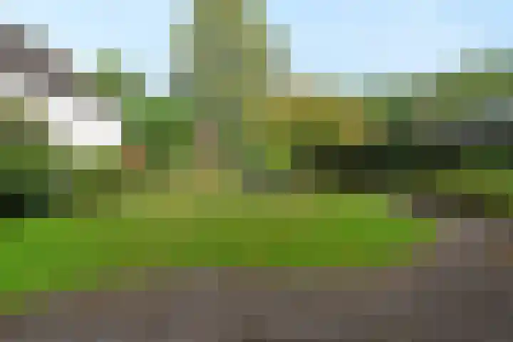 Gerstkamp 8 Hoevelaken thumbnail 48