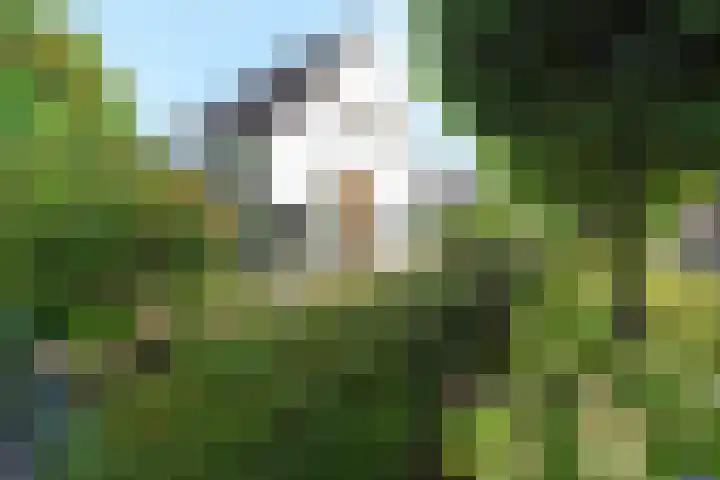 Gerstkamp 8 Hoevelaken thumbnail 52