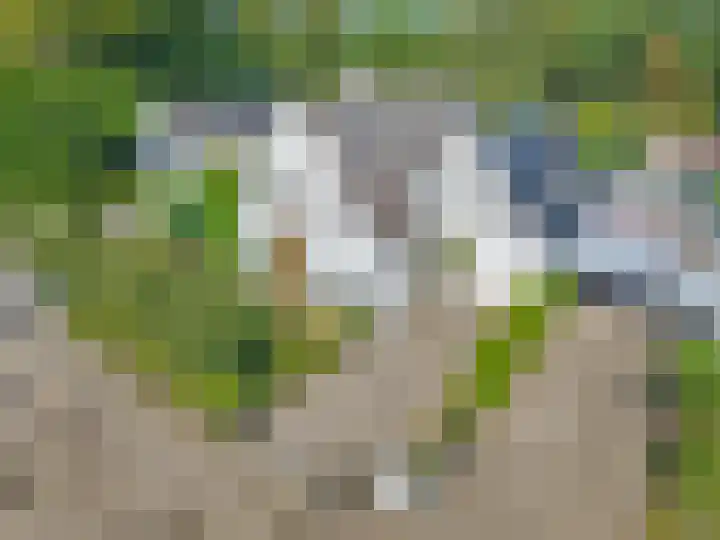 Gerstkamp 8 Hoevelaken thumbnail 9