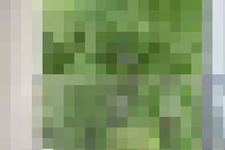 Gerstkamp 84 Den Haag thumbnail 31