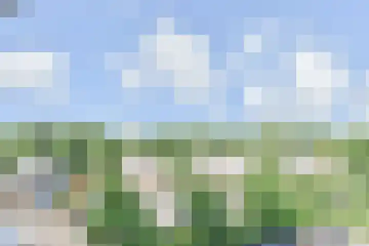 Gerstkamp 84 Den Haag thumbnail 33