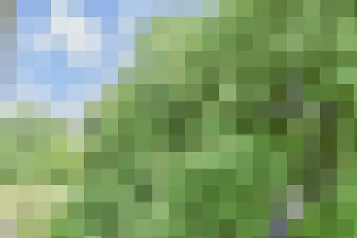 Gerstkamp 84 Den Haag thumbnail 34