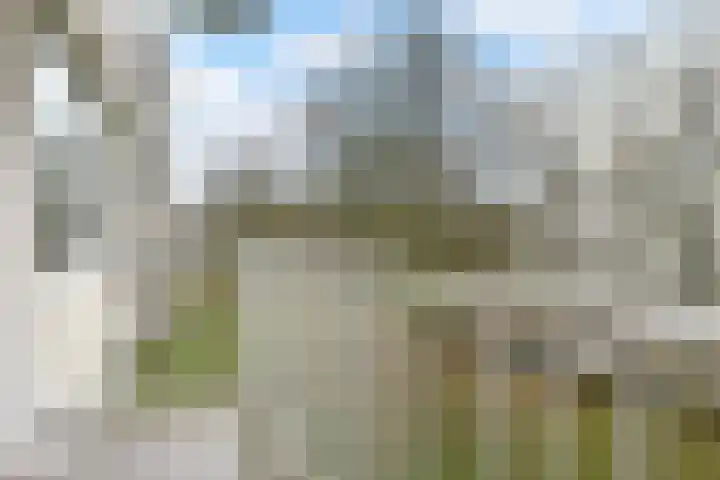 Gerstkamp 86 Den Haag thumbnail 14