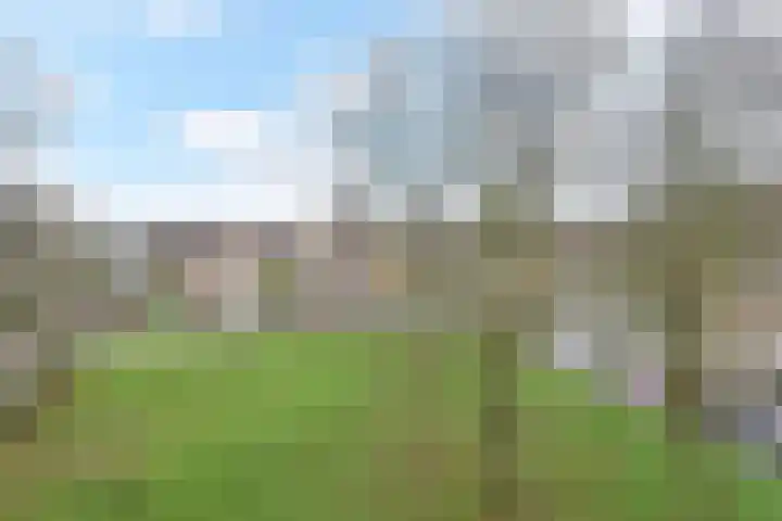 Gerstkamp 86 Den Haag thumbnail 32