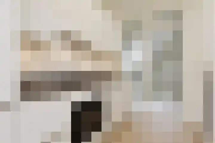 Gerstkamp 86 Den Haag thumbnail 8