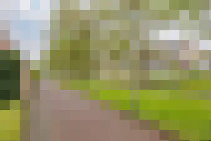 Gerstland 6 Velserbroek thumbnail 6